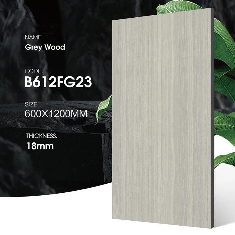 Wood Look Outdoor Tiles